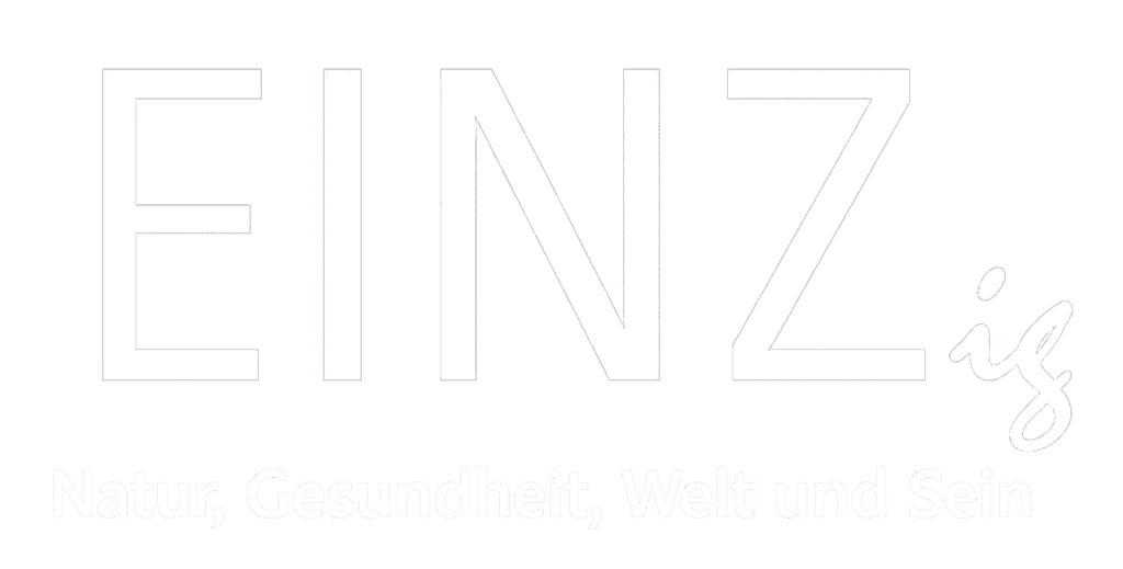 EINZ Logo Magazin